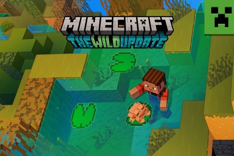 Minecraft 1.19 Download